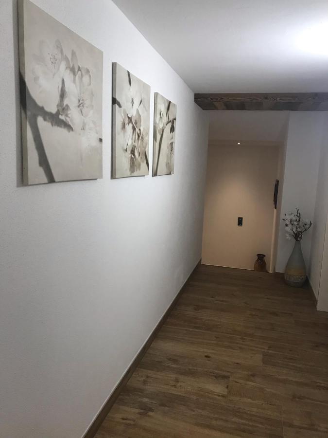 Appartement Fritzl Wagrain Zewnętrze zdjęcie
